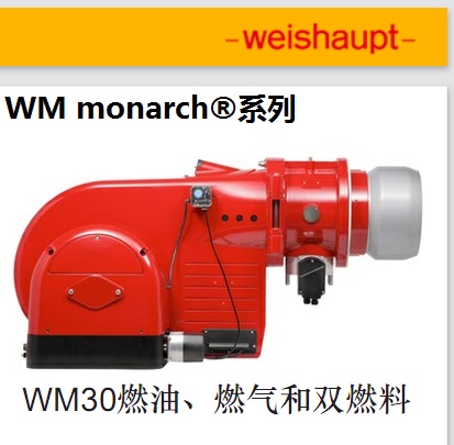 威索 WM-GL30 燃烧器